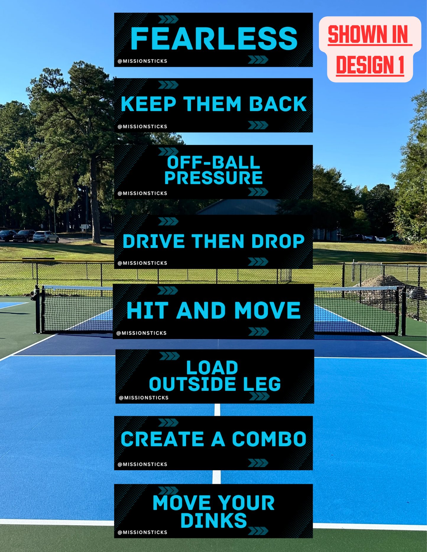 a. Advanced Pack 1  (8 stickers): Control & Dominate